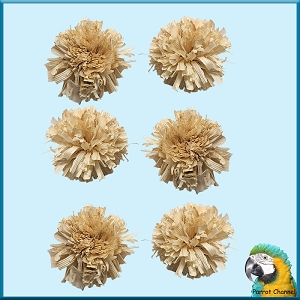 Corn Husk Puffs