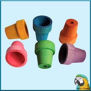 Small Flower Pots