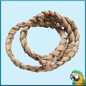 Seagrass Braid - 1